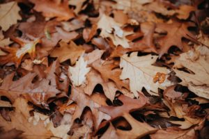 leaf-removal